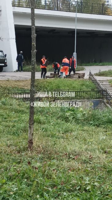 🛠В овраге возле реки Каменка, в районе 16-го микрорайона,..