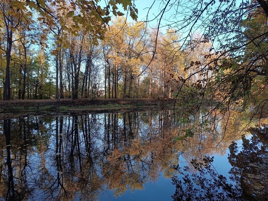 Осенние пейзажи.

📸 Соколова..