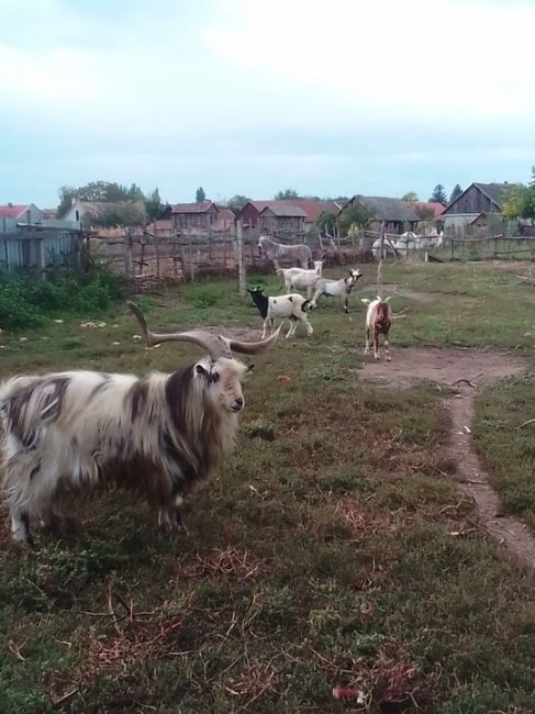 Ночной чат! 
Самое запоминающееся событие с прошедшей..