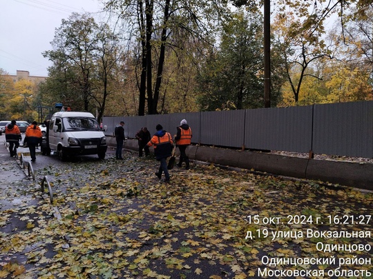 А настоящий деревопад случился ночью..