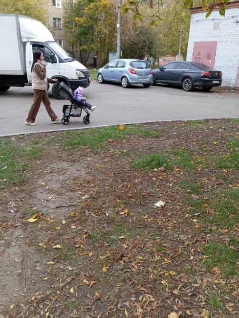 Приехали во двор, наполнили контейнер и уехали. Если кто знает,..