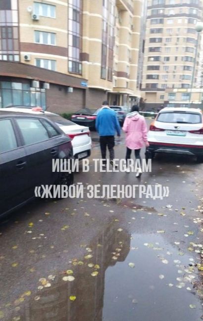 🚌В Голубом два пассажира отказались платить за проезд и..