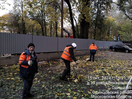 А настоящий деревопад случился ночью..