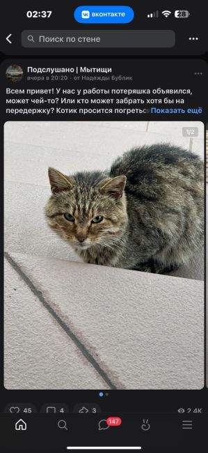 ⚠ Пропал(а) кот

📍 Мытищи, Новомытищинский проспект,..