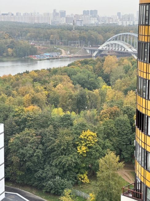 🍂🍁 Желтеет все потихоньку, осень вступает в свои права!
С..