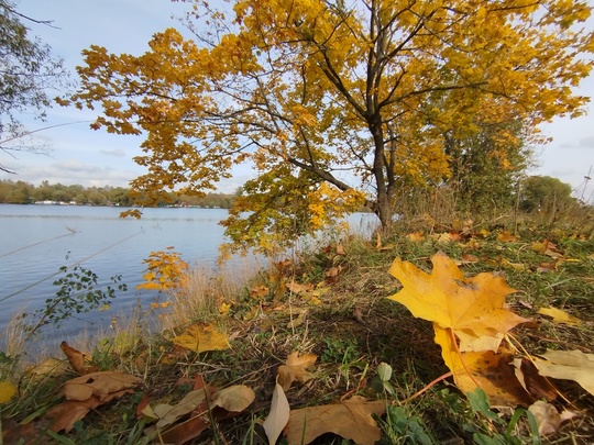 Осень в Долгопрудном - просто сказка ❤️

Ждём Ваши фото в..