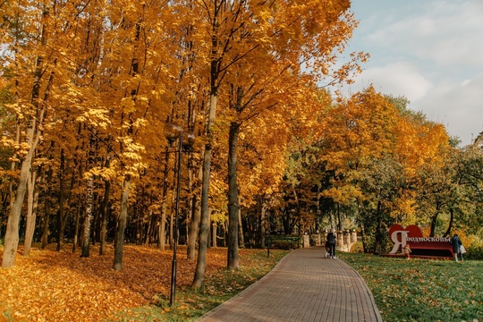 ❗️Завтра, 5 октября, с 12:00 до 15:00 в химкинских парках пройдут..