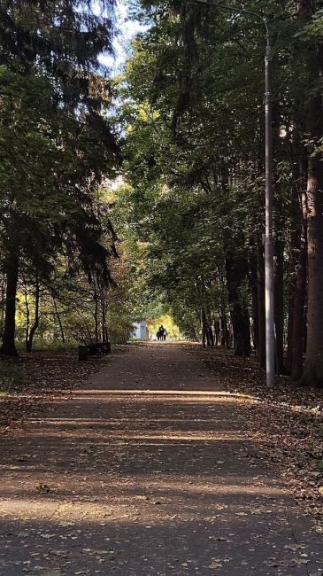 Прогулка в парке, мкр...