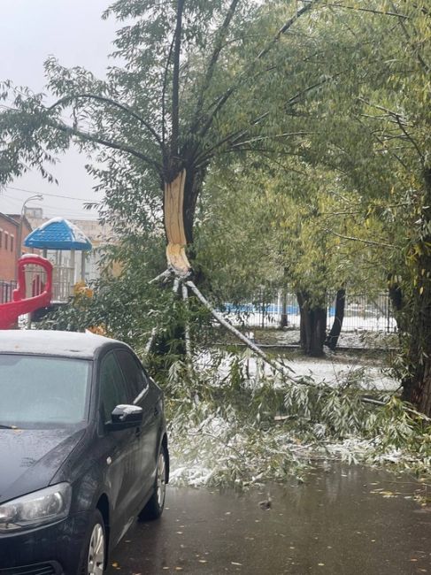 Много упавших деревьев, покосившиеся столбы вот итоги непогоды в..