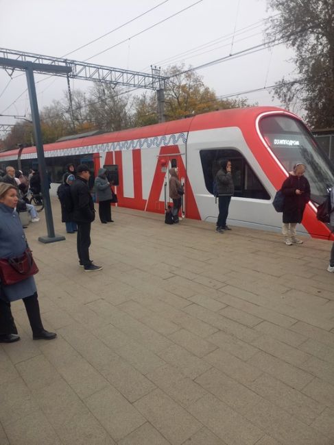 На D3 в сторону ипподрома произошёл обрыв контактной сети, движения нет, пишу со..