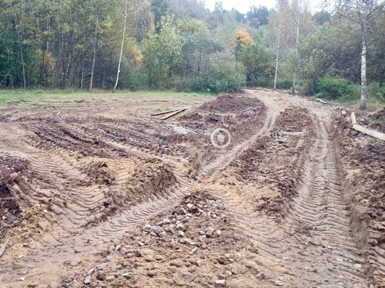 В Подушкинском лесу, со стороны улицы Говорова, продолжаются..