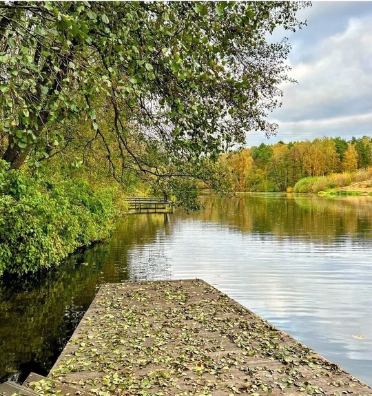 ОЧЕЙ ОЧАРОВАНЬЕ 🍁
Осенью грусть и красота всегда рядом.
Фото..