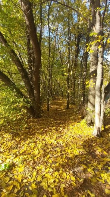 Осень в Долгопрудном - просто сказка ❤️

Ждём Ваши фото в..