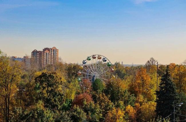 Мытищинские парки приглашают к участию в фотоконкурсе

«Осень в..