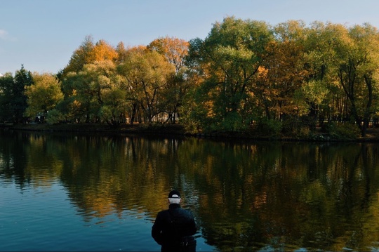 Воронцовский парк в осенних красках.

📸..