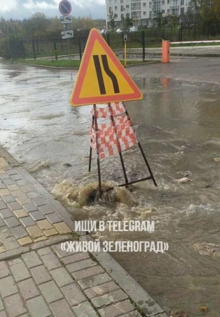 🚰Константин Михальков, глава городского округа Солнечногорск,..