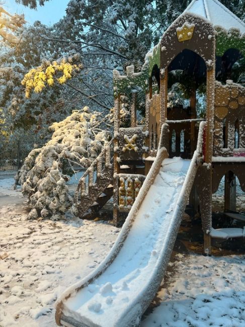 ❄У Михайловского пруда в 15-м микрорайоне сейчас так красиво!..