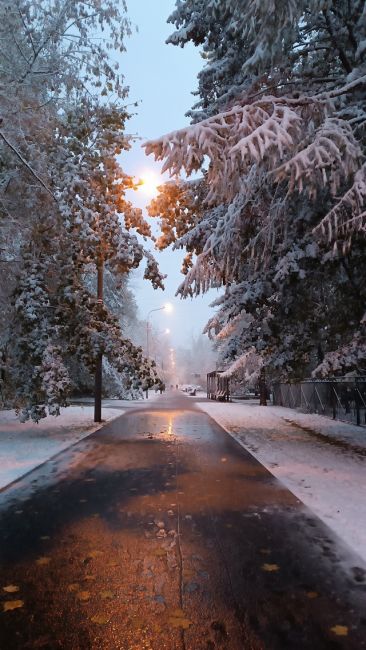 ❄Когда синоптики сообщили, что менять резину ещё рано, я был..