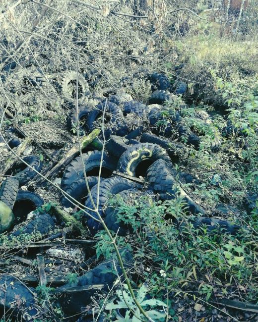 ⚠️Вы подумали, что это зона отчуждения, а оказалось всего лишь..