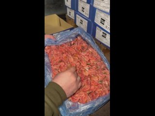 5 кг кревекток за 2200₽ с доставкой в Одинцово 🦐

На канале..