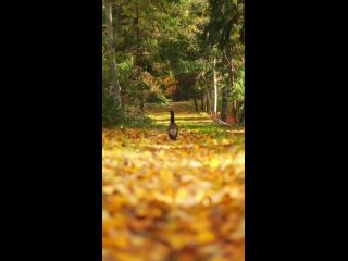 ☀️Чудесная погода сегодня в Москве

Солнечно, сухо, лёгкий ветерок, воздух..