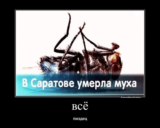 🤬В лесу, напротив корпуса 1208, на дороге обнаружен хлеб. Есть..