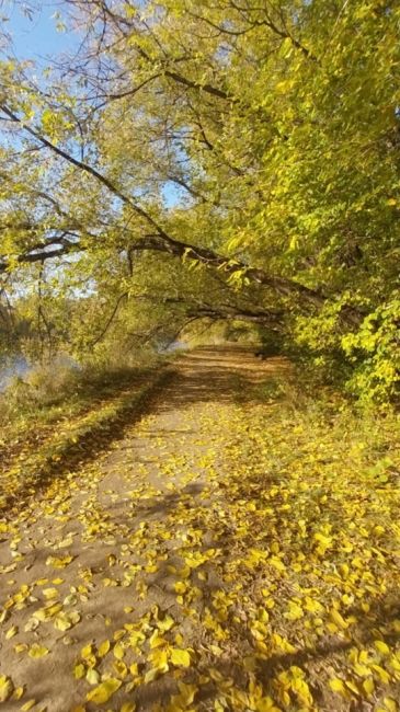 Осень в Долгопрудном - просто сказка ❤️

Ждём Ваши фото в..