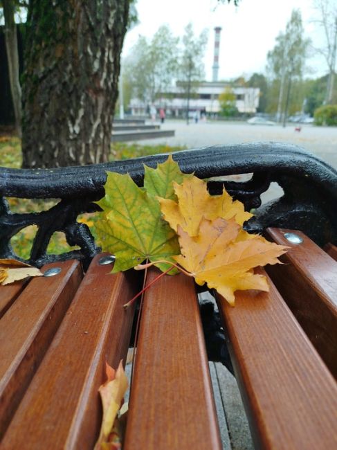 Осень в Долгопрудном - просто сказка ❤️

Ждём Ваши фото в..