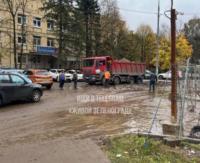 🏥Детская поликлиника № 105 в шестом районе, поскольку наша..