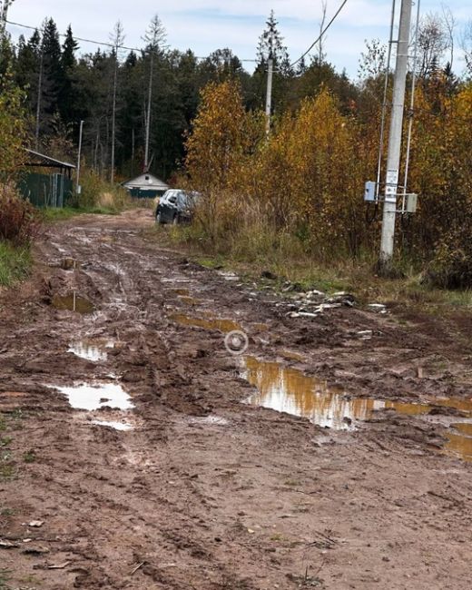 Одинцовским многодетным семьям не могут сделать дорогу к их..