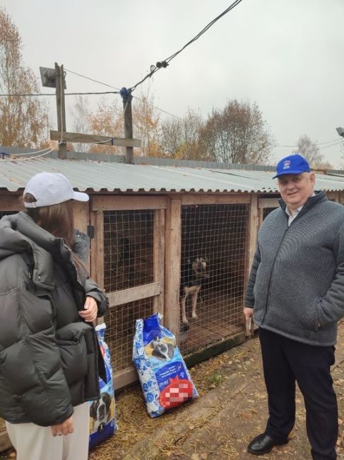 ⚡⚡⚡ Приют для животных может появиться в городском округе..