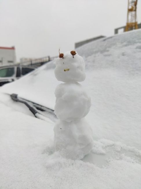 Вот и октябрьские снеговики в Химках пошли..