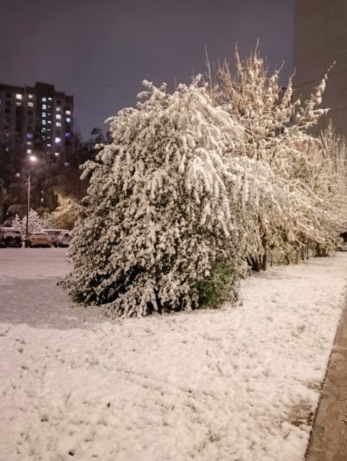 ❄У Михайловского пруда в 15-м микрорайоне сейчас так красиво!..