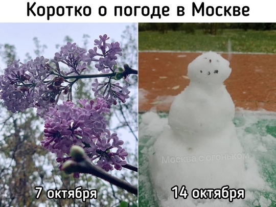 И это всего неделя..