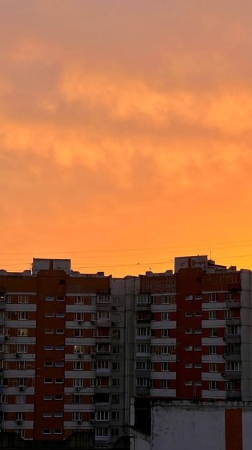 Волгоградский проспект, рассвет. 

📸 Темникова..