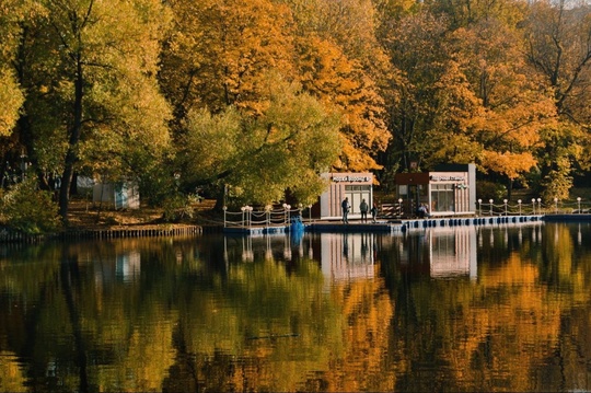 Воронцовский парк в осенних красках.

📸..