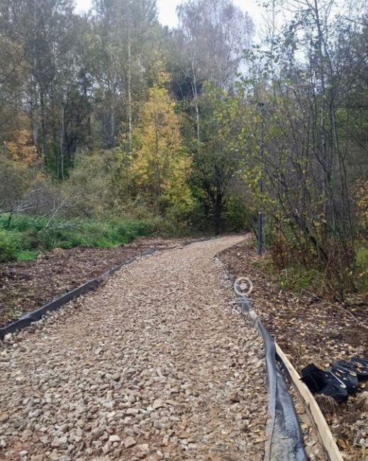 В Подушкинском лесу, со стороны улицы Говорова, продолжаются..