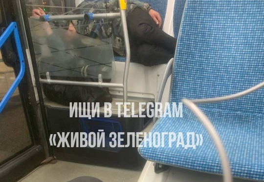 🚌На маршруте 400Т такие пассажиры стали обычным делом

ТГК Живой..