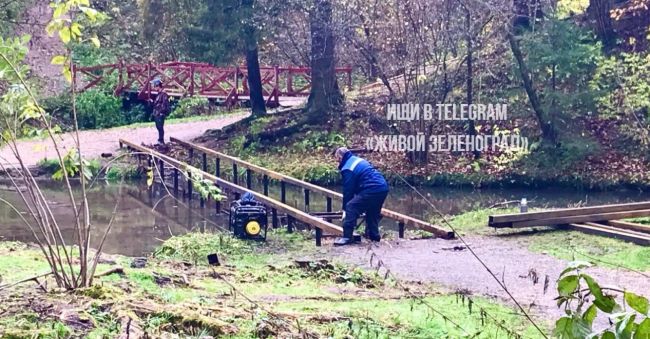 🛠Все деревянные мосты в лесу между четвёртым и двенадцатым..