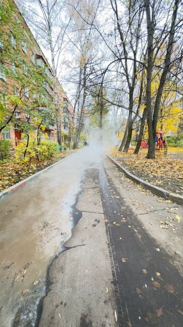 На Ленинском пр-те д.2 открылся очередной термальный источник..