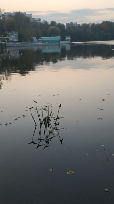 Осень в Долгопрудном - просто сказка ❤️

Ждём Ваши фото в..