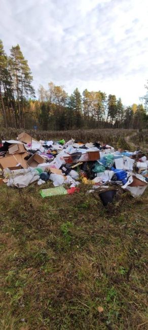 🗑️ Рядом с деревней Бузланово обнаружены навалы..