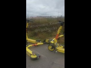 Самокаты в Химках, как грибы после дождя 😅

Практически от..