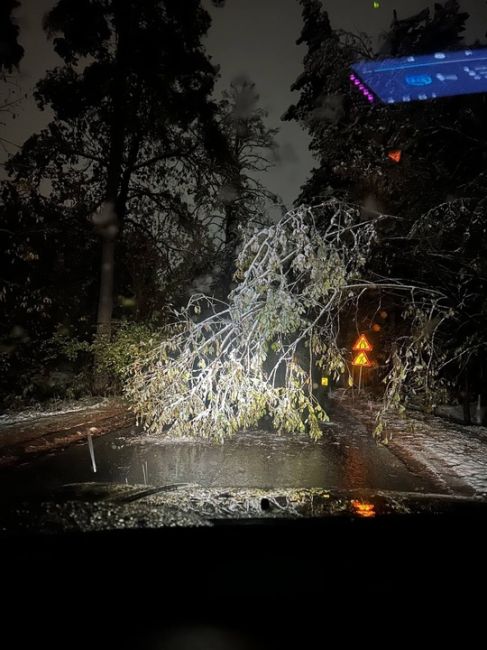 Перед мостом в Кутьино со стороны..