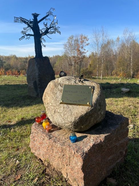 Кто не знает,у нас за МПК есть Аллея памяти погибшим..