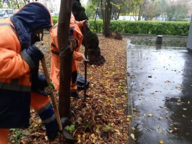 В Пушкино работники коммунальных служб справились с проблемой..