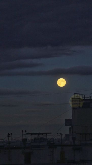 🌕 Полная Луна появилась в небе над Химками

Сегодняшнее..