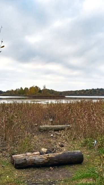 НА ВЕЛИКЕ МИМО МАЗУРИНСКОГО ОЗЕРА
В минувшую пятницу проехал на..