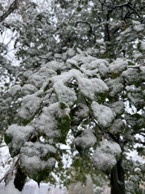 ❄В 10-м микрорайоне выпал снег.
Если вы тоже стали свидетелем..